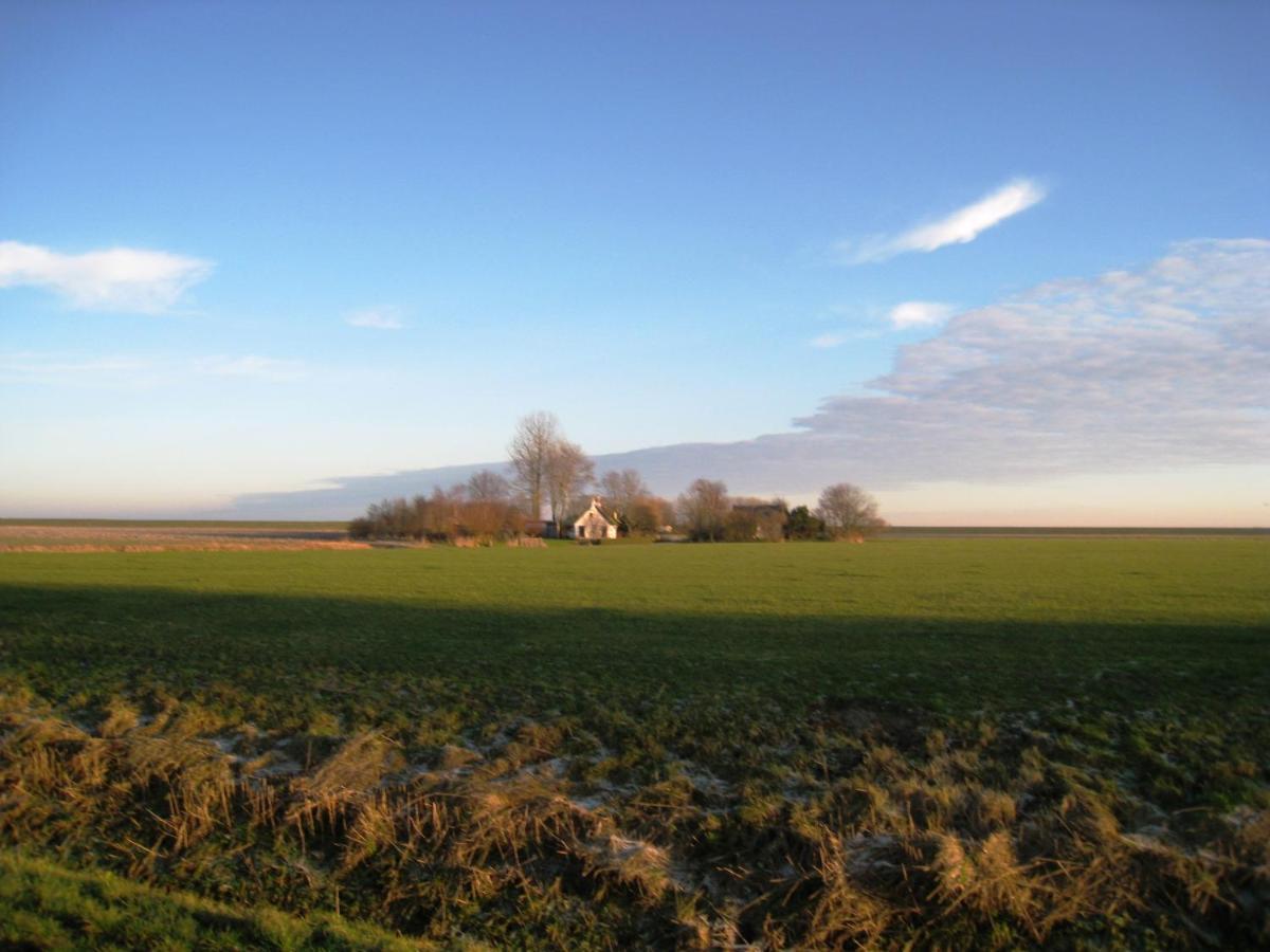 Haus Kormoran Am Lauwersmeer 175 Anjum 외부 사진
