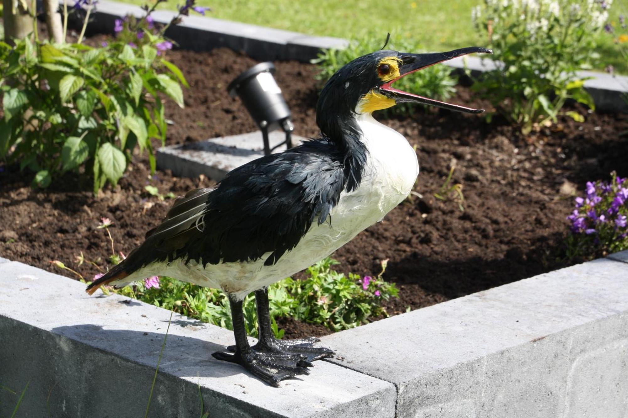 Haus Kormoran Am Lauwersmeer 175 Anjum 외부 사진